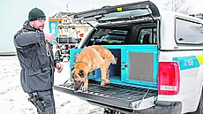 St�ední pes a velké SUV. Kdo z nich má v�t�í uhlíkovou stopu?