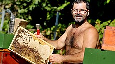 V�ely jsou �ivotem Miroslava Sedlá�ka. Ten je nejen chová, ale i u�í dal�í, jak...