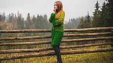 Ilustra�ní snímek