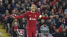 Liverpoolský kapitán Virgil van Dijk vániv gestikuluje.