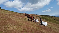 S vytahováním pose�ené trávy a bor�v�í ze svah� nad Velkou kotlinou pomáhají u�...
