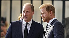 Princ William a princ Harry (Windsor, 10. záí 2022)