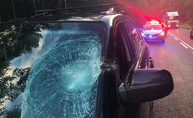 Na auto bývalého ředitele šumavského národního parku Jiřího Mánka spadl při jízdě suchý strom. (21. září 2022)