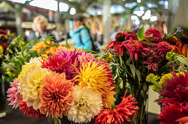 Flora Olomouc 2026: program a vstupné. Co přinese jarní etapa veletrhu