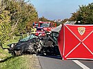 Nehoda osobnho a nkladnho automobilu u Mlnka (29. z 2022)