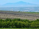 Podmnky na jihomoravskch vinicch m dl vc pipomnaj jinj zem....