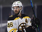 David Krejčí se vrátil do Bostonu po roční odmlce.