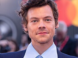 Zpvák a herec Harry Styles v Benátkách (5. záí 2022)