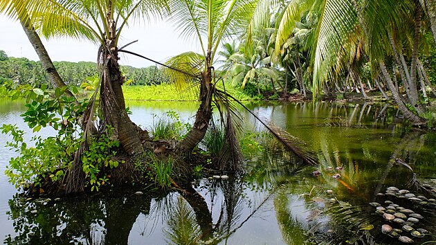 Laguna Buada je jediným sladkovodním jezerem ostrova. Kolem něj se dnes soustředí poslední možnosti obživy. 