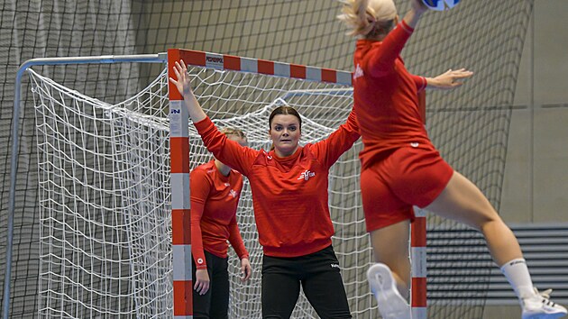Moment av tr