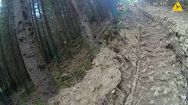 Lesy na umav nedaleko Kaperskch Hor znien po tb deva.
