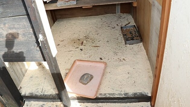 Pachatel� nakupovali zb�da�en� �t��ata a obratem je prod�vali. Hodn� nemocn� zv��ata skon�ila v kontejneru.