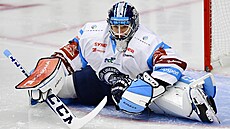 Hokejový branká� Daniel Král si v utkání Liberce proti Brnu odbyl premiéru v...