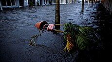 Floridu zasáhl hurikán Ian.