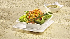 �o�kov� sal�t