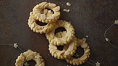 Holandsk vnon koleka