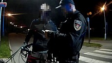 Strá�níci mu�e se psy zastavili na cyklostezce v ulici J. Boreckého.