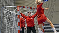 Momentka z tréninku �eských házenká�ek