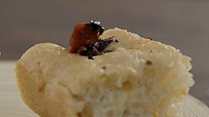 Punčochářův italský chléb na vytírání omáčky z talíře