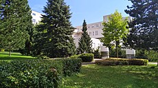 Nyní je za hlavní budovou nemocnice v Havlíčkově Brodě park se stromy a keři....