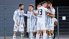 Fotbalisté Dynama �eské Bud�jovice slaví gól.
