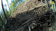 Lesy na Šumavě nedaleko Kašperských Hor zničené po těžbě dřeva.