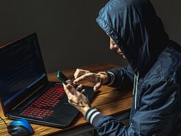 Ilustra�ní snímek