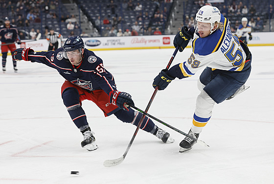 David Jiíek (vlevo) z Columbus Blue Jackets brání v zápase se St. Louis Blues...