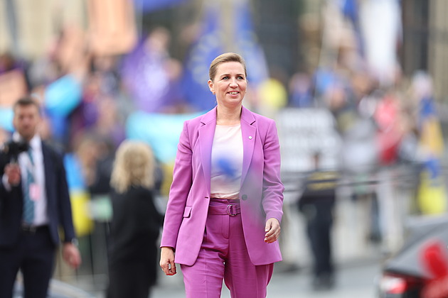 Útok na dánskou premiérku nebyl politicky motivován, uvedla policie po výslechu