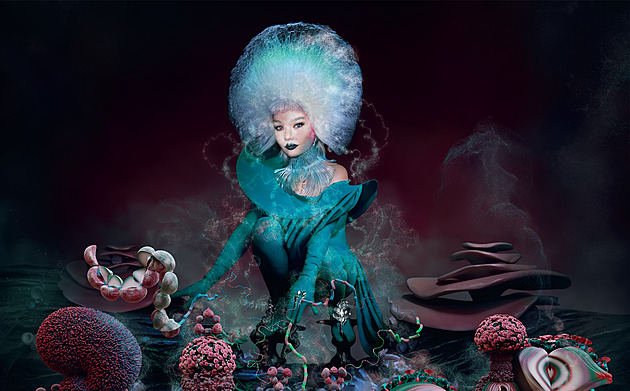 RECENZE: Björk si na Islandu vyrazila na houby a natočila o tom desku