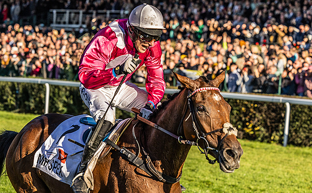 Talent neobhájil. Velkou pardubickou opanovali Mr Spex s Matuským