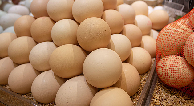 Kvůli ptačí chřipce je v Evropě nedostatek vajec. Drůbežáři jsou v zisku