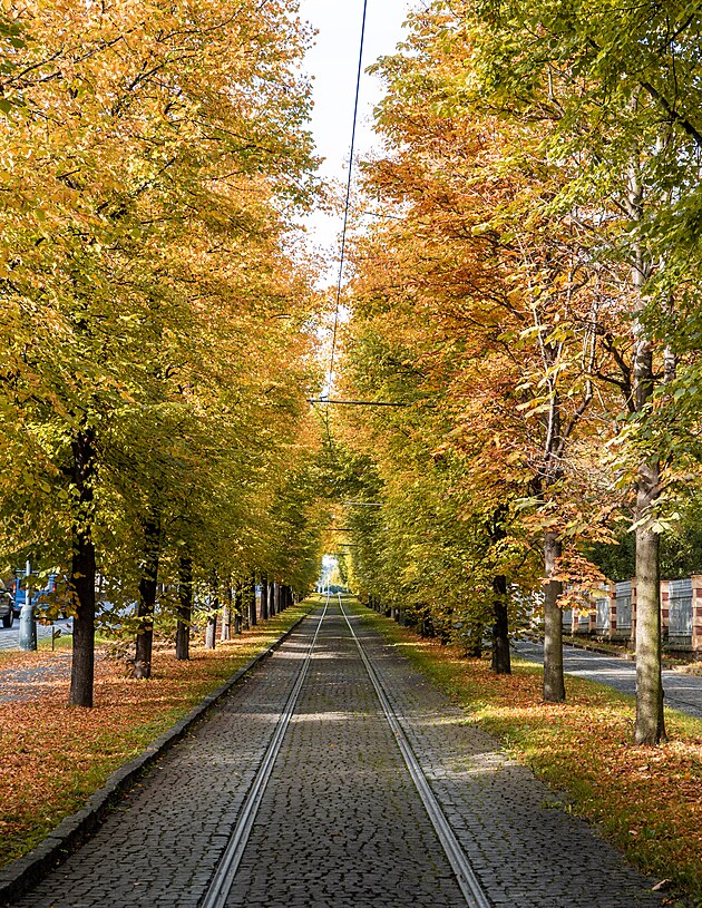 <p>Zářivé barvy a přívětivé podzimní počasí maluje krásy i v Praze.</p>