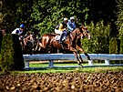 Kon� p�ekon�vaj� Popler�v skok p�i Velk� pardubick�.