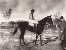 Velk� pardubick� 1926 a v�t�zn� klisna All Right s kpt. Poplerem.
