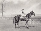Velk� pardubick� 1930 a v�t�z kpt. Popler na koni Gyi lovam.