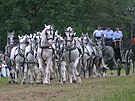 Rekordn dvaadvacetispe koruje mistr oprat Petr Vozb, na kozlku pomh...