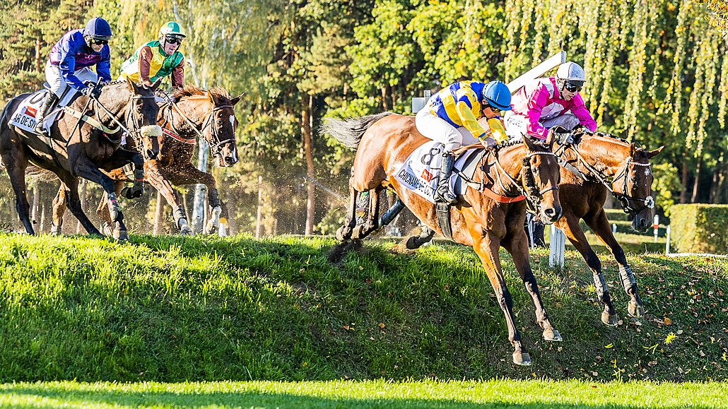 Momentka ze 132. Velké pardubické