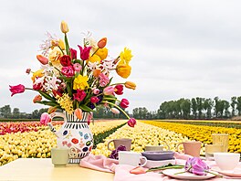 V Nizozemsku existují celé tulipánové lány a vedle sýr, devák i vtrných...