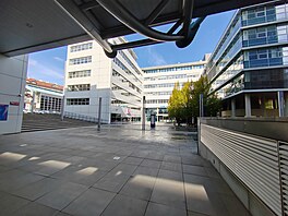 Fotografie pořízená smartphonem Honor 70