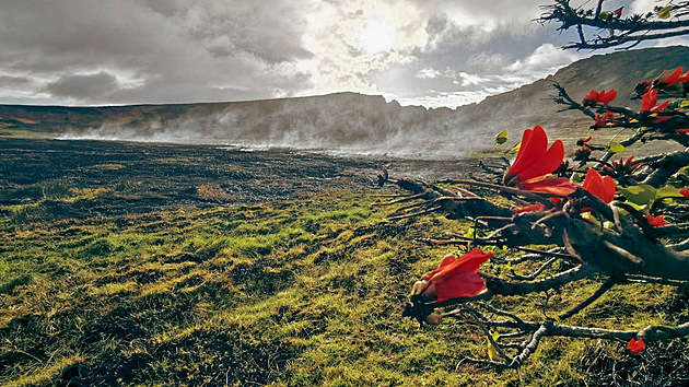 Dohovajc por v Nrodnm parku Rapa Nui na Velikononm ostrov v Chile (6. jna 2022)