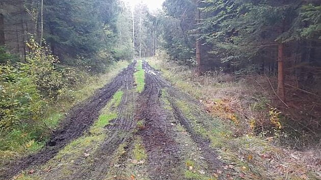 Na Rokycansku zavedla navigace idie kamionu a do lesa. Na pomoc mu pijela odtahov sluba.