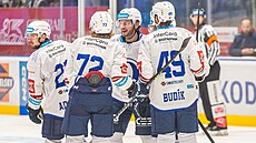 Plze�tí hokejisté se radují ze vst�elené branky.