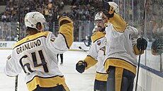 Radost hrá Nashville Predators ze vsteleného gólu.