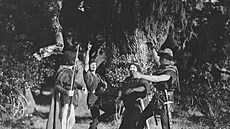 Z filmu Robin Hood
