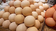 ilustra�ní snímek