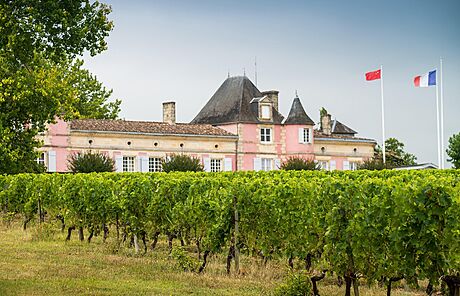 Vinice ve francouzské oblasti Bordeaux.