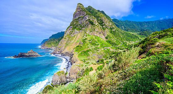 Madeira - ilustraní obrázek