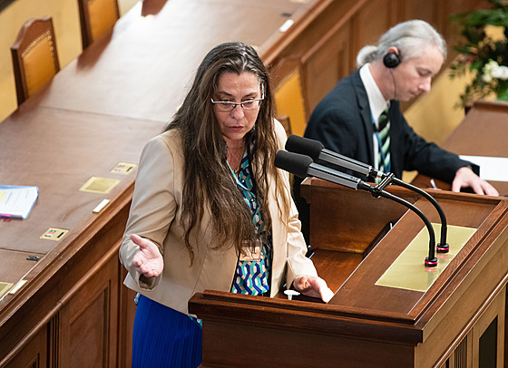 Jednání Poslanecké sn�movny. Na snímku Berenika Pe�tová. (18. �íjna 2022)