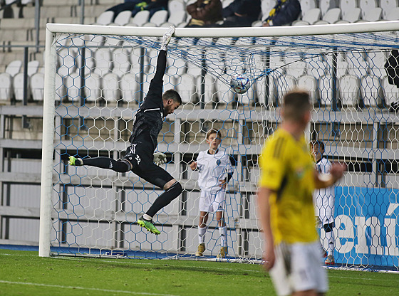 Branká Vysoiny Pavel Soukup proil v pátek proti Prostjovu debut v ligovém...